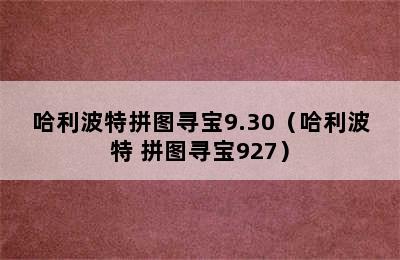 哈利波特拼图寻宝9.30（哈利波特 拼图寻宝927）